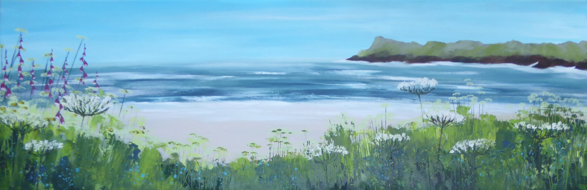 Dodman Point