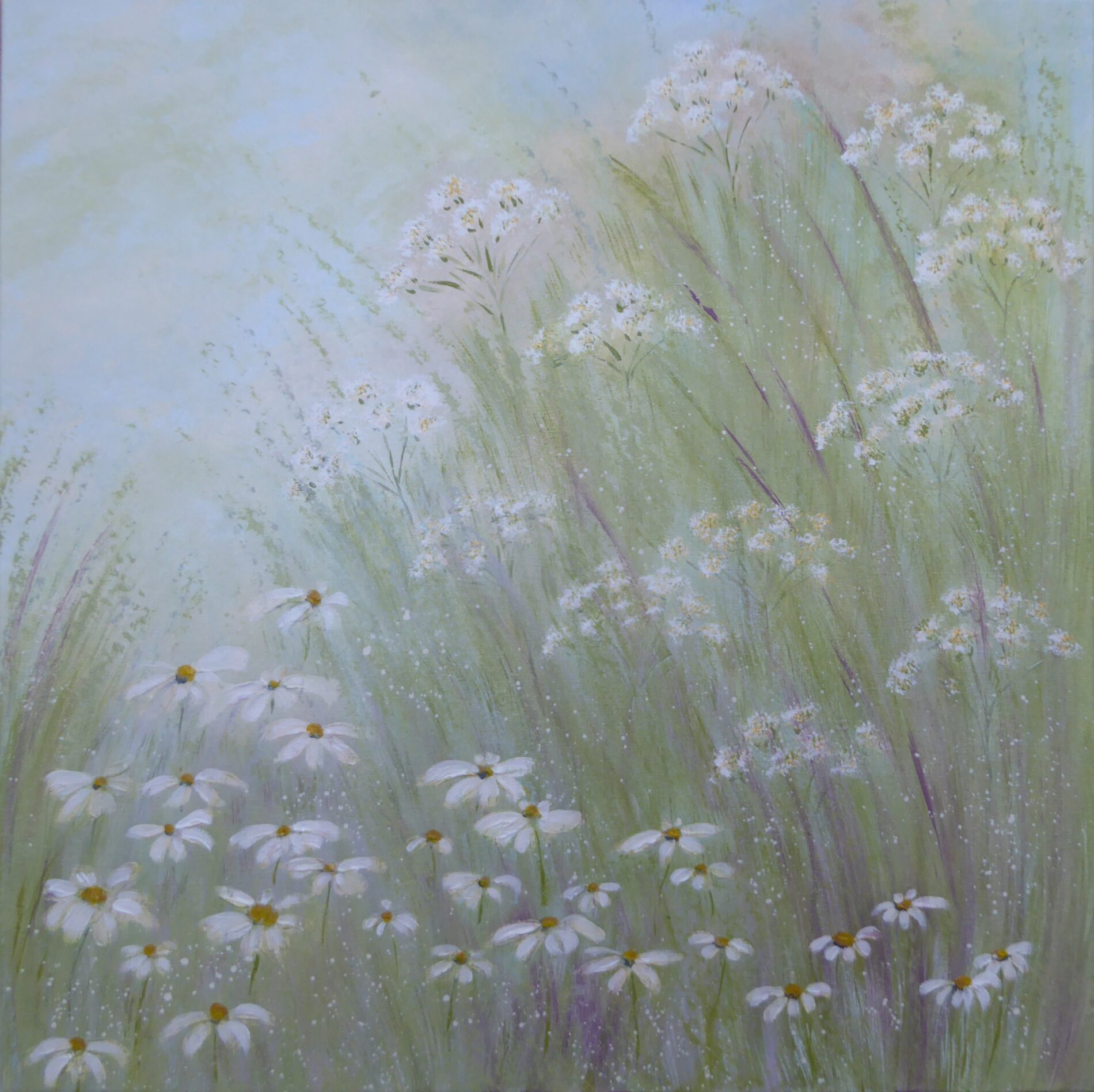 Airy Meadow