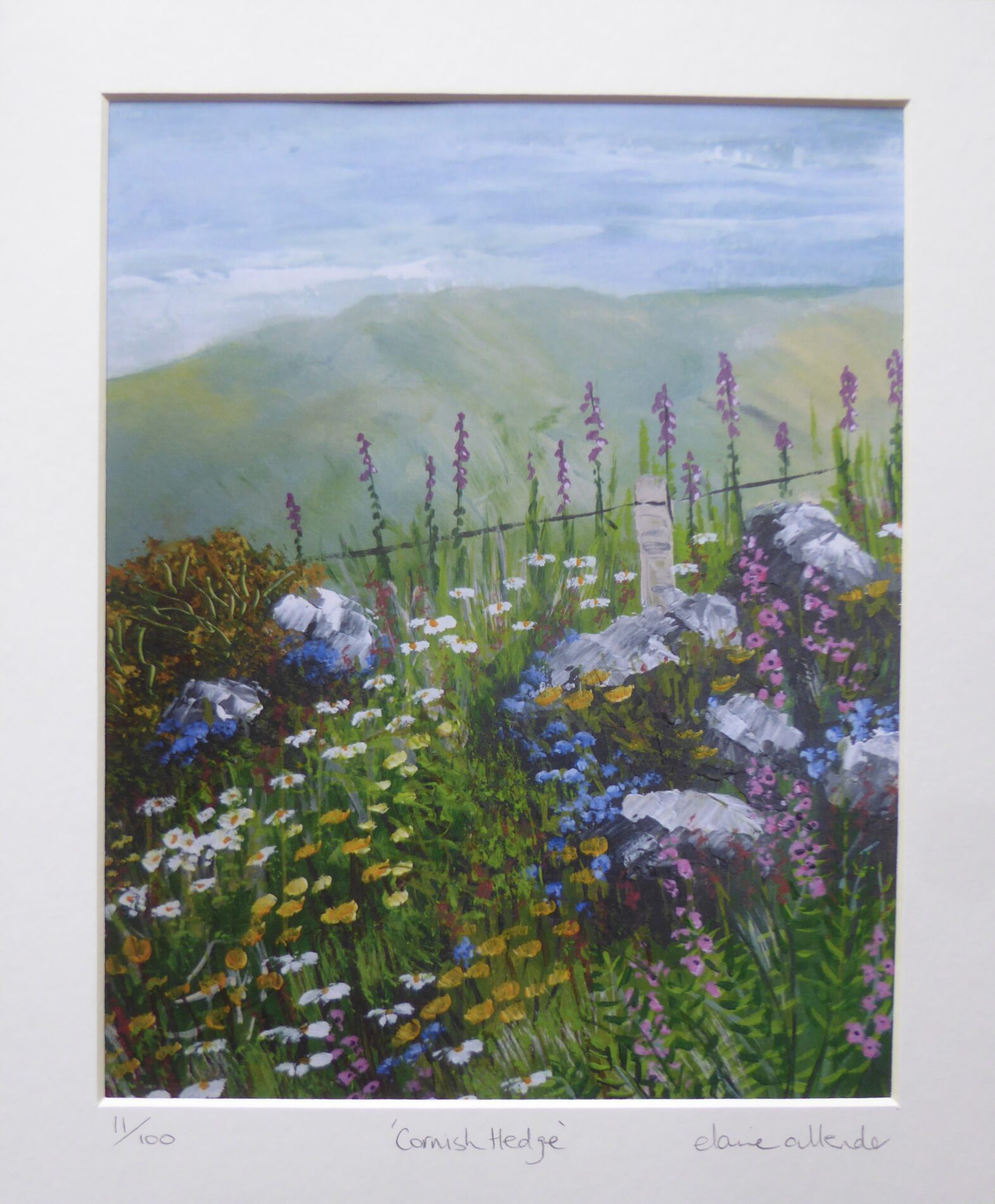 Cornish Hedge