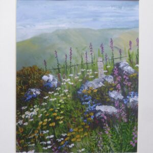 Cornish Hedge