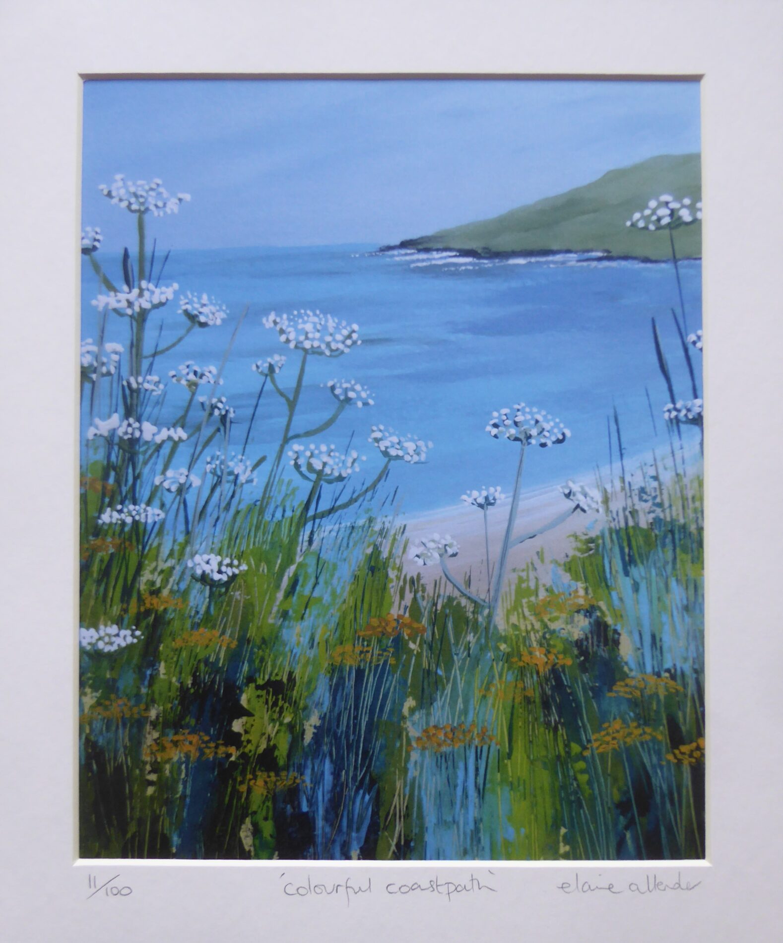 Colourful Coastpath