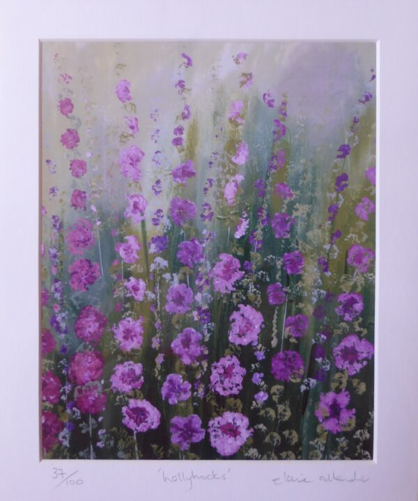 Hollyhocks